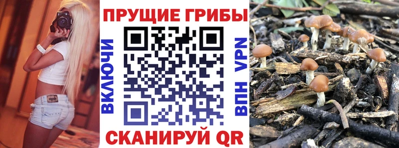 мега вход  Узловая  Псилоцибиновые грибы мицелий  магазин  наркотиков 